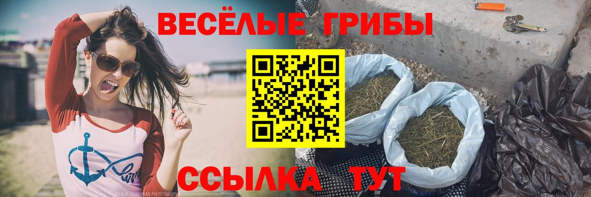 Куйбышев  купить наркотик  Вход с VPN  Галлюциногенные грибы мухоморы  Галлюциногенные грибы Psilocybine cubensis 